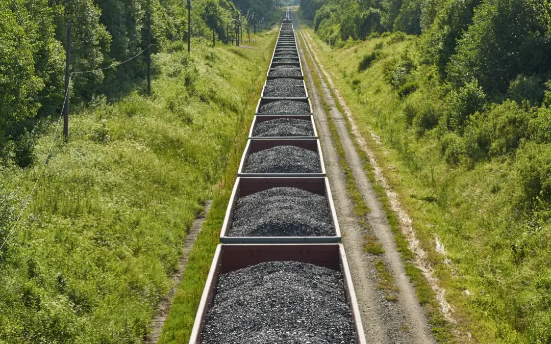 Public sector procurement and corruption: protecting those who speak out | PART 1