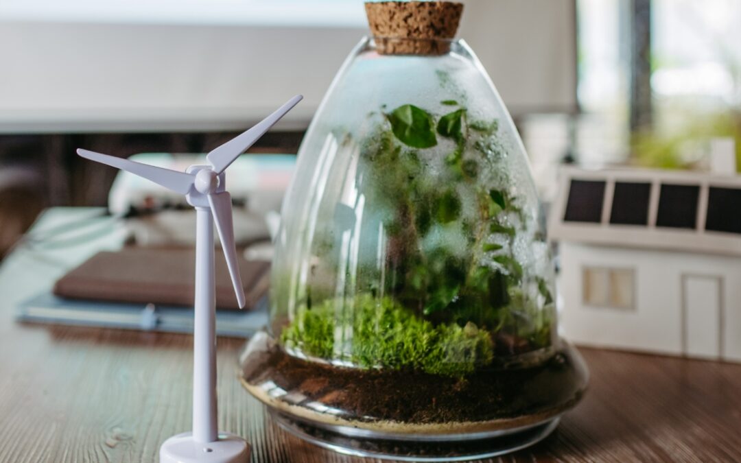 Breaking News | New requirements for Environmental Authorisations for Renewable Energy Projects in South Africa