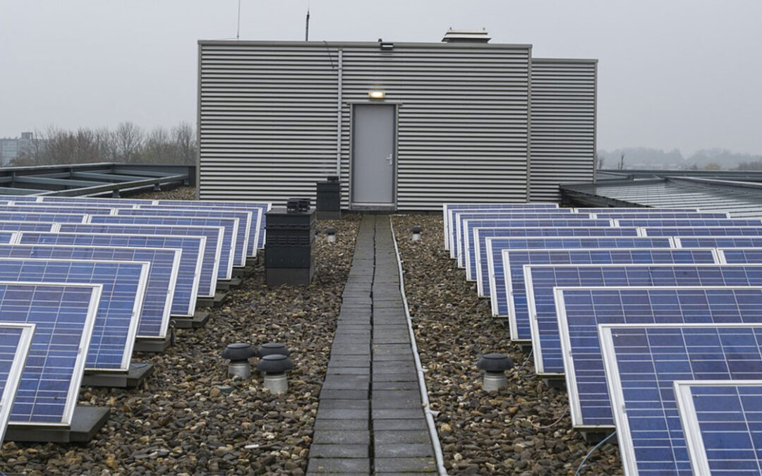 BESIPPPP BID WINDOW 3 BIDDERS’ CONFERENCE | LnP’s Key Takeaways