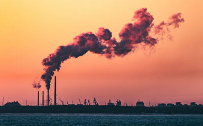Eskom’s emissions exemptions: What the decision means, and practical steps forward