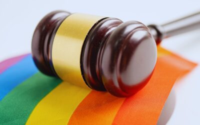 Cape High Court criticises Home Affairs for rejecting gay refugee’s asylum claim