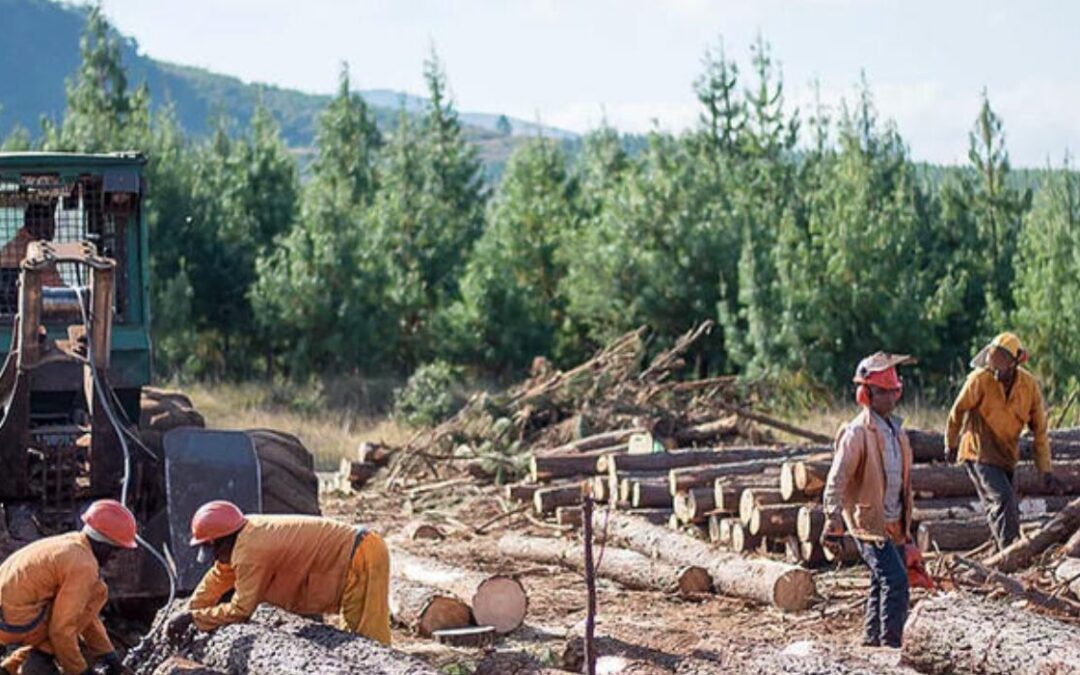 Beyond jurisdiction: When declaratory relief misses the mark