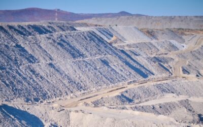 When legal strategy becomes liability: A wake-up call for labour lawyers