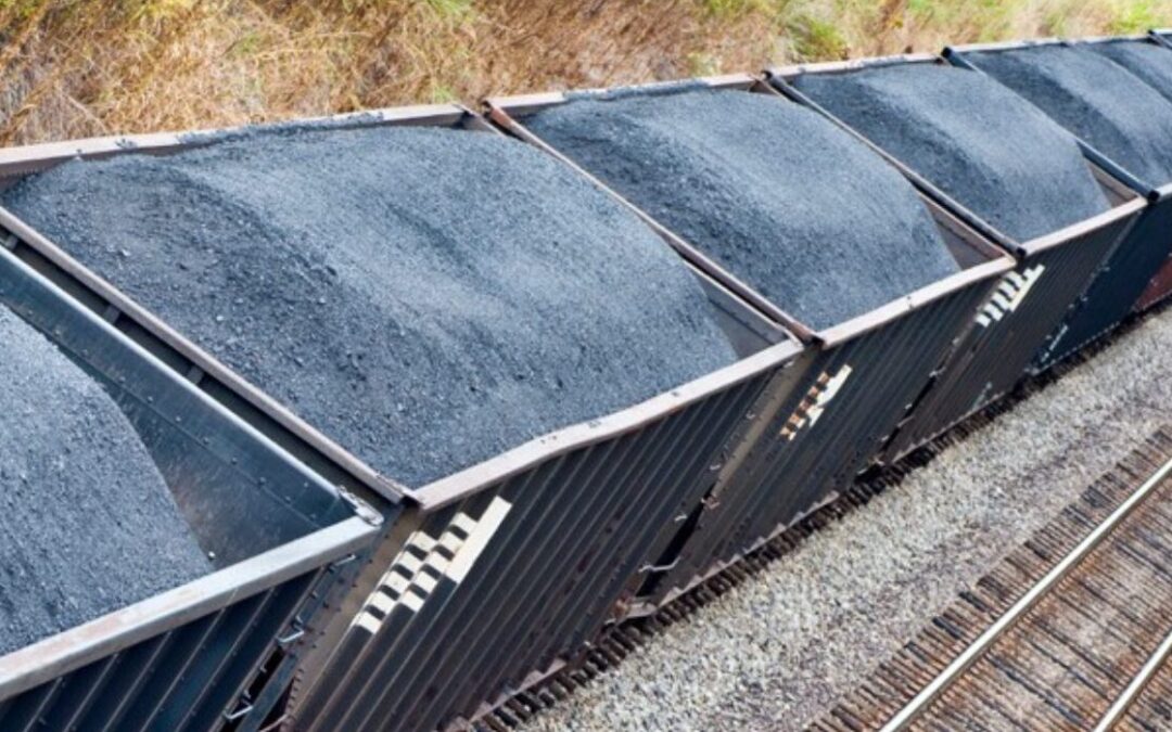 From boardroom to courtroom: What chairpersons must learn from Mabona