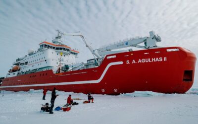 Urgent interdicts in procurement: Facts, judgment, and practical lessons for litigators and clients